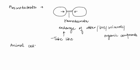 plasmodesmata-in-plant-cells-are-most-similar-in-function-to-which-of-the-following-structures-in-animal-cells-extracellular-mix-peroxisomes-desmosomes-tight-junctions-gap-junctions-14666