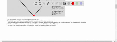 p1-p2-ed-p4-p5-n1-n2-17-l2-l3-l4-p1-p5strains-of-hiv-from-patientx-l1-l4strains-of-hiv-from-general-population-of-lafayette-louisiana-n1-n2strains-of-hivfrom-the-nurse-you-are-asked-to-inter-31296