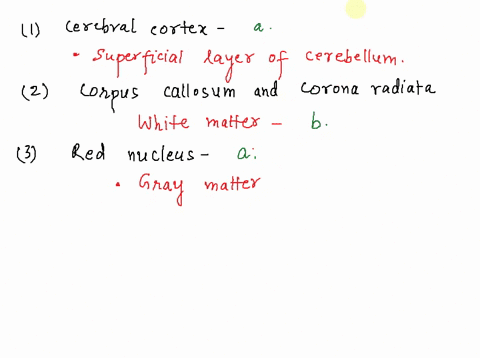 a-number-of-brain-structures-are-listed-below-if-an-area-is-primarily-gray-matter-write-a-in-the-ans-22104