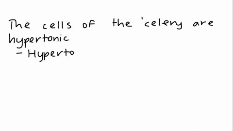 when-celery-stalk-is-immersed-in-beaker-with-salt-solution-it-becomes-limp-and-soft-from-this-we-can-deduce-that-relative-to-the-salt-solution-the-cells-of-the-celery-are-hypertonic-cannot-b-94143