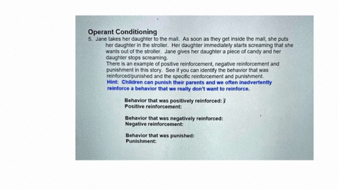 operant-conditioning-5jane-takes-her-daughter-to-the-mallas-soon-as-they-get-inside-the-mall-she-puts-her-daughter-in-the-strollerher-daughter-immediately-starts-screaming-that-she-wants-out-98546