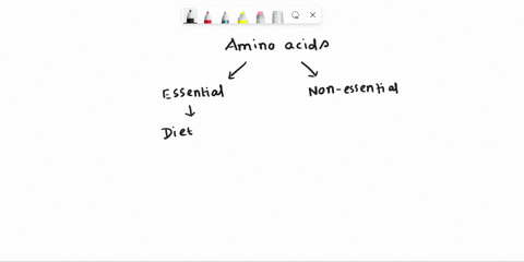 amino-acids-can-be-classified-as-a-hydrophobic-amino-acids-with-nonpolar-r-groups-b-polar-amino-acids-with-neutral-r-groups-but-the-charge-is-not-evenly-distributed-c-positively-charged-amin-22833