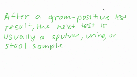 in-the-lab-you-gram-stained-an-uknown-bacteria-and-found-it-to-be-a-gram-positive-bacillus-based-on-your-experience-in-lab-what-one-test-would-you-use-next-to-identify-the-unknown-bacteria-w-21521