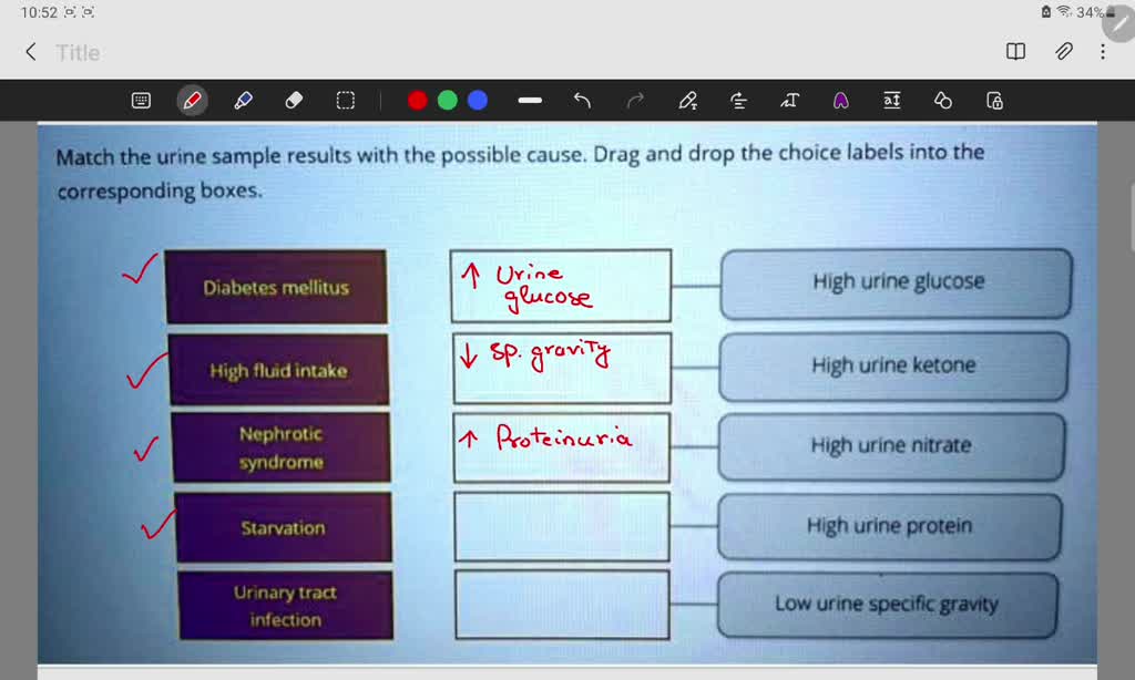 SOLVED Match the urine sample results with the possible cause. Drag