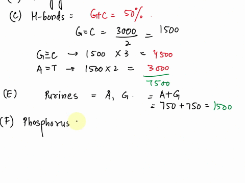 a-how-many-phosphodiester-bonds-are-present-within-this-plasmid-bhow-many-n-glycosidic-bonds-are-present-c-how-many-h-bonds-would-you-expect-e-how-many-purines-are-present-in-this-plasmid-f-02016