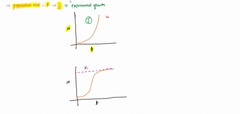 in-a-graph-of-population-size-versus-time-a-j-shaped-curve-is-characteristic-of-a-exponential-popu-2-86312