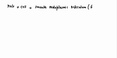 the-most-likely-role-ofa-cell-that-contains-extensive-smooth-er-whal-wol-sninesilcs-iagke-quanilics-of-lipids-a-ic-plays-storage-prolein-molecules-plays-lnmnna-funcrion-uctively-exponts-comn-14895