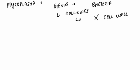 mycoplasmas-are-bacteria-that-lack-cell-walls-on-the-basis-of-this-structural-feature-which-statement-concerning-mycoplasmas-should-be-true-52334