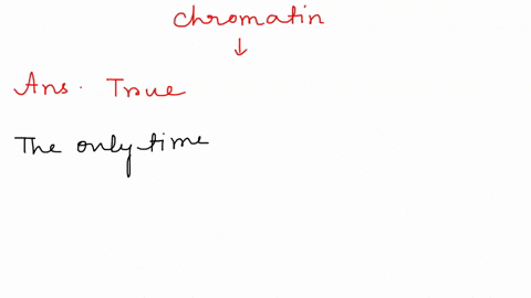 true-or-false-the-only-time-that-chromatin-is-densely-packed-is-when-it-is-packaged-up-in-chromosomes-x-shapes-true-false-15734