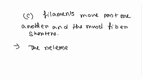 calcium-ions-are-released-from-the-sarcoplasmic-reticulum-what-happens-next-a-acetylcholine-is-rel-5-37878