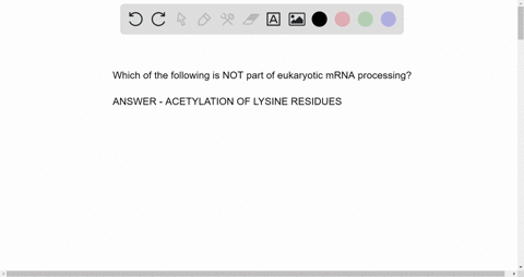 which-of-the-following-is-not-part-of-eukaryotic-mrna-processing-group-of-answer-choices-splicing-of-introns-3-polya-addition-addition-of-a-7-methylguanosine-cap-acetylation-of-lysine-residu-99048