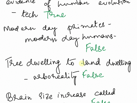 a-write-true-if-the-statement-is-correct-and-false-if-not-1-tool-making-and-tool-using-abilities-of-the-early-hominids-are-clear-evidences-that-human-evolution-is-gradually-taking-place-towa-71061
