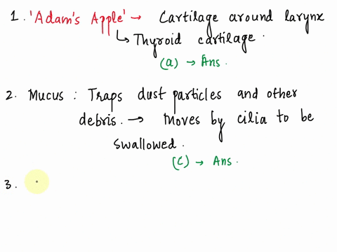 multiple-choicetrue-falsematching-the-adam-apple-is-a-lay-term-for-the-a-thyroid-cartilage-vocal-cords-b-cricoid-trachea-cartllage-c-epiglottis-mucus-in-the-nasal-cavity-is-secreted-by-goble-50709