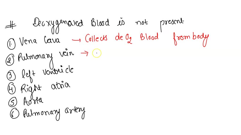 SOLVED: Choose all that apply. In the circulatory system of a bald ...