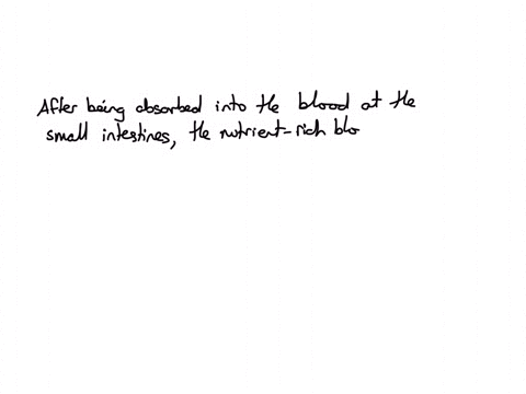 time-ledt-002-41-2-after-being-absorbed-into-the-blood-ot-the-small-intestines-the-nutrient-rich-blood-immediotely-trovels-to-the-qquad-wed-mot-a-gonods-b-liver-e-lungs-d-kidey-clear-my-cholde
