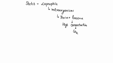 5_-sketch-the-location-of-the-expected-growth-for-a-typical-capnophile-name-one-bacterial-representative-hint-you-will-need-to-first-determine-a-typical-oxygen-requirement-that-most-capnophi-63815