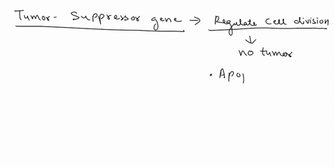 which-of-the-following-types-of-proteins-could-be-coded-for-by-a-tumor-suppressor-gene-a-a-protein-that-helps-prevent-apoptosis-b-protein-that-codes-for-a-dna-repair-enzyme-c-protein-that-fo-95006