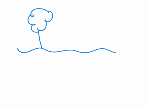 explain-how-some-plants-achieve-secondary-growth