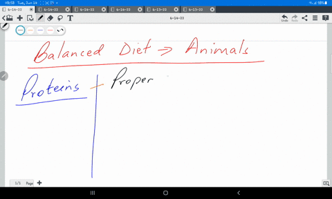 5-importance-of-animal-protein-in-ration-92997