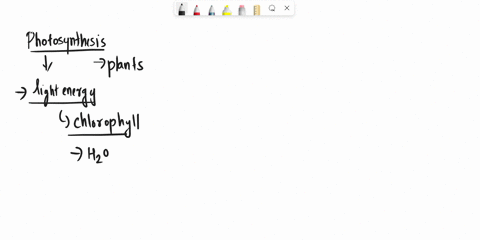 photosynthesis-includes-select-all-that-apply-krebs-cycle-citric-acid-cycle-electron-transport-glycolysis-photophosphorylation-calvin-cycle-light-reactions-elycogen-processing-69017