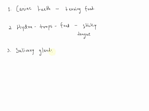 state-true-t-or-false-f-against-each-of-the-following-statements-1-canine-teeth-are-used-for-tearing-of-food-2-hydra-traps-food-with-the-help-of-sticky-tongue-3-salivary-glands-are-situated-87642