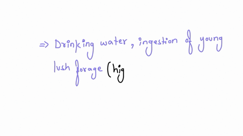 which-of-the-following-can-increase-body-water-there-may-be-more-than-1-select-4-correct-answers-question-4-options-drinking-water-insensible-water-water-from-condensation-reactions-ingestion-of-young