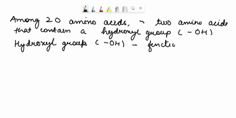 two-amino-acids-of-the-standard-20-contain-hydroxyl-groups_-they-are-methionine-cysteine-cvstelne-and-scrine-cysteine-and-threonine_-methionine-and-serine-threonine-and-serine-three-of-the-2-63924