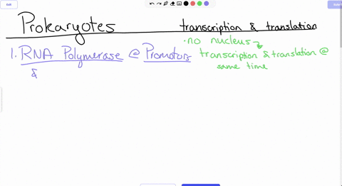 which-of-the-following-statements-is-true-about-transcription-translation-in-prokaryotes-transcription-stops-right-at-the-terminator-transcribes-additional-sequence-while-in-eukaryotes-rna-p-44295