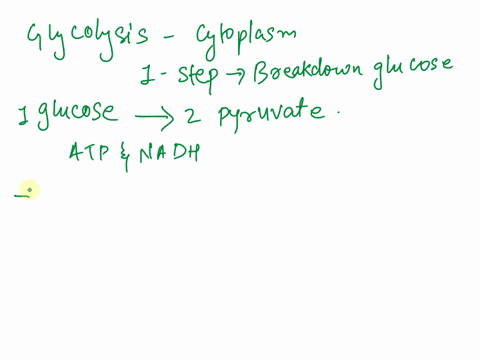 glycolysis-gluconeogenesis-and-the-pentose-phosphate-pathway-all-play-critical-roles-in-balancing-energy-metabolism-and-synthesis-of-the-compounds-needed-for-cell-growth-what-does-each-pathw-90344