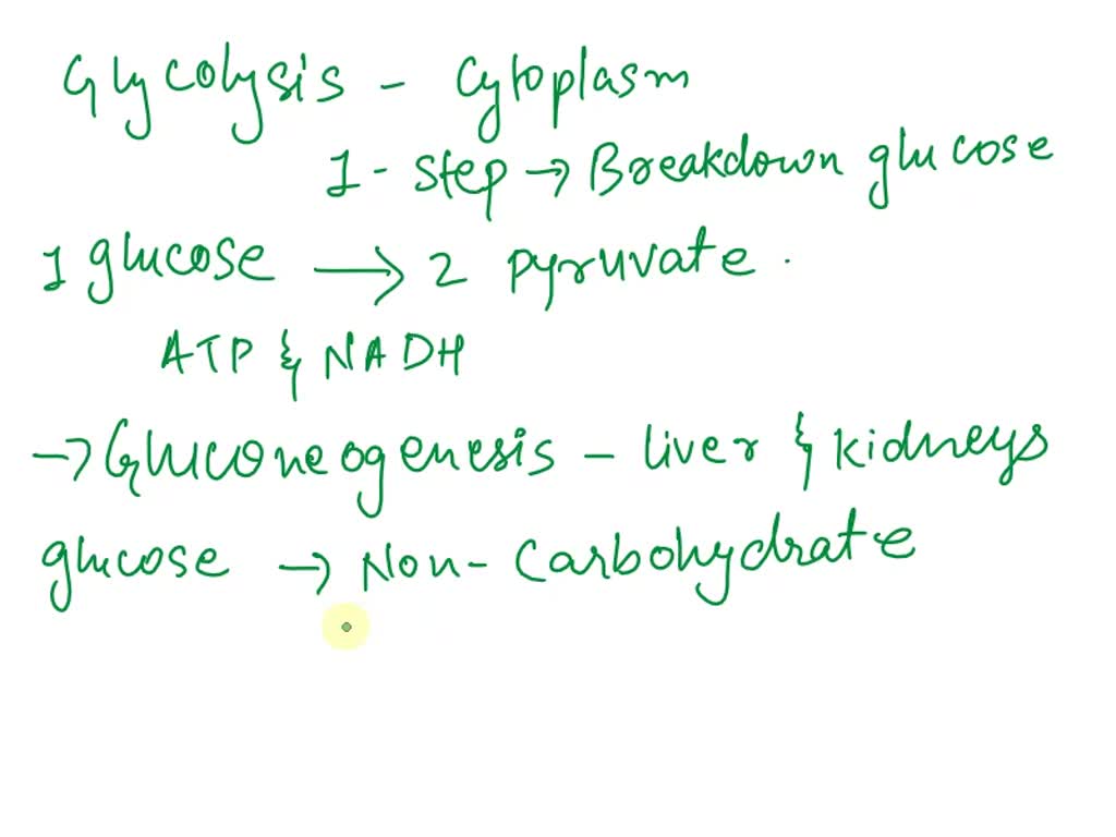 SOLVED: . Glycolysis, gluconeogenesis and the pentose phosphate pathway ...