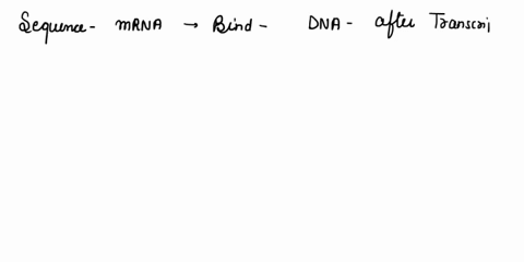 fkn-tho-blatk-tha-antkodon-utkch-matchos-a-ioquenes-caa-woub-ba-question-17-asoquanca-o-dna-5-tac-tgaccg-uslng-tho-saquance-and-tho-codon-char-ansiter-tha-boloring-wha-mrna-soquonce-moud-ros-92488