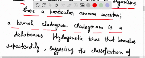 consider-the-phylogeny-pictured-below-how-many-clades-consisting-of-two-or-more-species-are-shown-in-this-rooted-phylogenetic-tree-a-1-b-2-c3-d-4-e5-96843