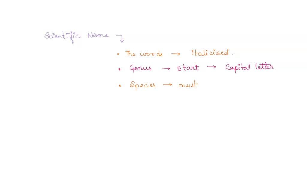 SOLVED Activity The Metric System Use the information in the table