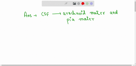 cerebrospinal-fluid-csf-fills-ih-the-space-between-the-dura-mater-and-pia-mater-h-pia-mater-and-spinal-cord-dura-mater-and-arachnoid-mater-arachnoid-mater-and-pia-mater-dura-mater-and-verteb-46224