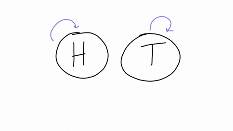 what-is-the-probability-to-get-heads-if-you-flip-a-coin-once