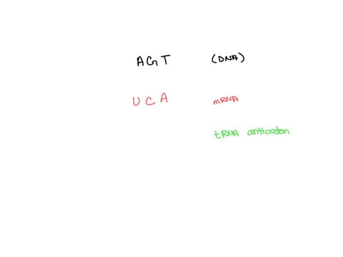 question-22-the-dna-coding-sequence-agt-codes-for-an-amino-acid-carried-by-a-trna-with-the-anticodon-agu-uca-tcu-agt-97708