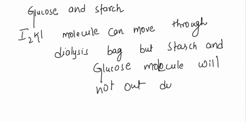 set-up-dialysis-bag-with-solution-of-glucose-and-starch-inside-ofit-during-an-experiment-you-you-then-placed-this-ba8-into-solution-of-izki-which-compounds-moved-across-the-semi-permeable-me-77588