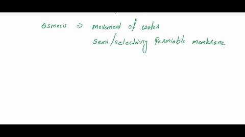 question-4-1pts-which-of-the-following-is-true-regarding-osmosis-check-all-that-apply-osmosis-is-the-movement-of-water-across-a-semipermeable-membrane-from-regions-of-lower-water-concentrati-28513
