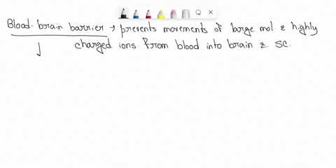 which-of-the-following-cells-are-involved-in-the-maintenance-of-the-bloodbrain-barrier-you-can-select-more-than-one-answer-a-capillary-endothelial-cells-b-pericytes-c-oligodendrocytes-d-epen-71196