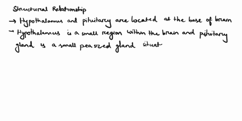 describe-structural-and-functional-relationships-between-the-hypothalamus-and-the-pituitary-gland-67038