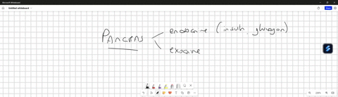 use-the-drop-down-menus-to-indicate-which-endocrine-structure-is-being-described-in-each-case-is-an-endocrine-and-exocrine-gland-that-secretes-juices-with-enzymes-for-digestion-help-with-pro-13688