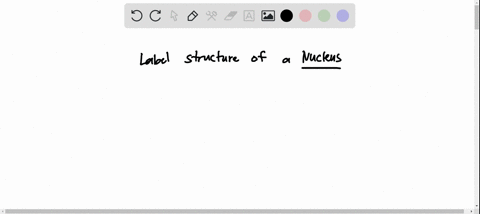 2the-nucleus-controls-all-the-activities-of-the-cell-and-acts-as-a-site-of-dna-material-and-protein-synthesis-it-is-composed-of-some-components-which-all-together-give-the-nucleus-its-functi-23433