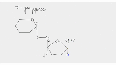 what-type-of-glycosidic-bond-is-present-in-the-disaccharide-shown-below-ic-name-the-linkage-is-the-disaccharide-an-alpha-beta-disaccharide_-or-nelther-draw-the-haworth-projections-ofthe-simp-59922