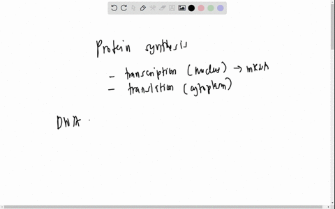 the-m-rna-nucleotide-code-is-below-ccg-uau-cga-cuu-gua-aca-acg-cgc-a-what-is-the-corresponding-nucleotide-sequence-on-the-chromosome-3-marks-b-briefly-explain-the-process-of-protein-synthesi-29061