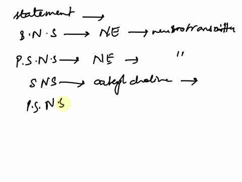 question-5-match-the-statement-with-the-best-choice-of-neurons-or-cells-these-sympathetic-nervous-system-neurons-tend-to-use-norepinephrine-as-their-neurotransmitter-these-parasympathetic-ne-23058