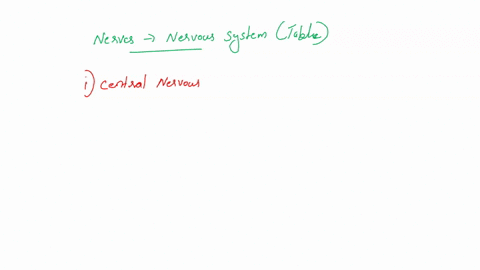 classify-the-following-into-the-divisions-of-the-nervous-system-they-represent-central-nervous-system-spinal-cord-peripheral-nervous-system-sensory-nerves-brain-autonomic-motor-nerves-carry-36927