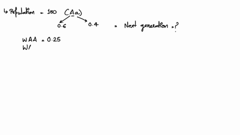 consider-a-population-of-100-individuals-and-the-frequency-of-the-a-allele-is-06-and-the-frequency-of-the-a-allele-is-04-if-the-following-fitness-values-for-each-genotype-are-applied-to-the-61884