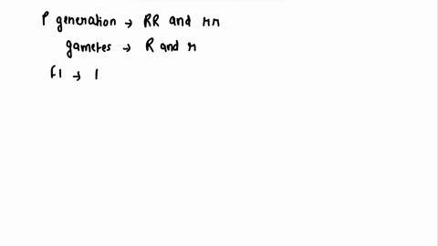 consider-mendel-monohybrid-cross-in-which-the-parentals-were-both-homozygous-one-for-the-dominant-siooth-dait-and-the-other-for-the-recessive-wrinkled-tait-rr-parental-p-generation-gametes-t-70198