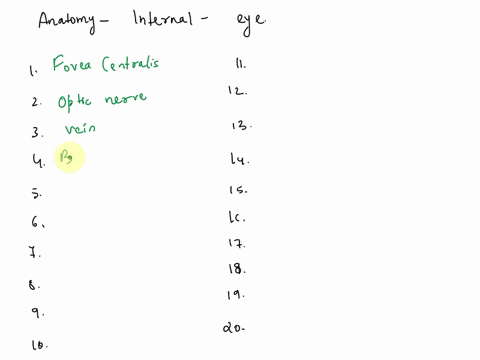 nage-av-kead-aic-scloral-venous-sinus-sclerold-coal-antetlor-chamber-coroa-optic-disk-oplic-nerve-olaml-hunior-matco-surotnsory-linareni-blind-spot-fote-ceneall-poatcnor-chmari-mbacuat-choro-08588
