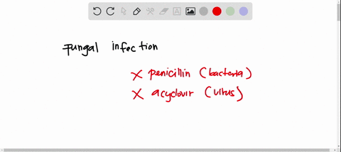 which-oral-medication-is-recommended-as-an-initial-topical-treatment-for-genital-yeast-infections-a-25336